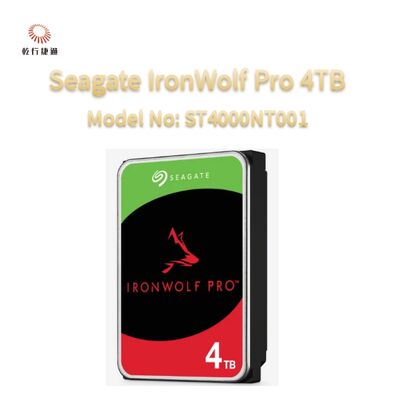 Seagate Ironwolf Pro 4TB Model nr: ST4000NT001