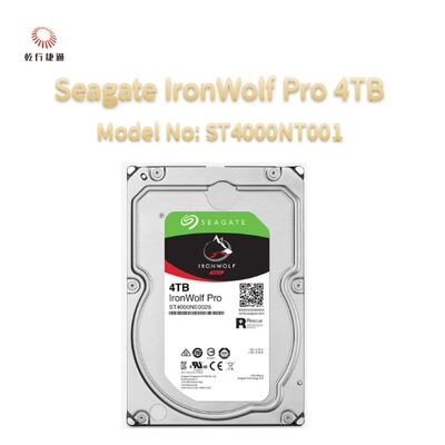 Seagate Ironwolf Pro 4TB Model nr: ST4000NT001